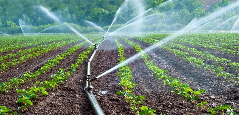 Irrigation-banner